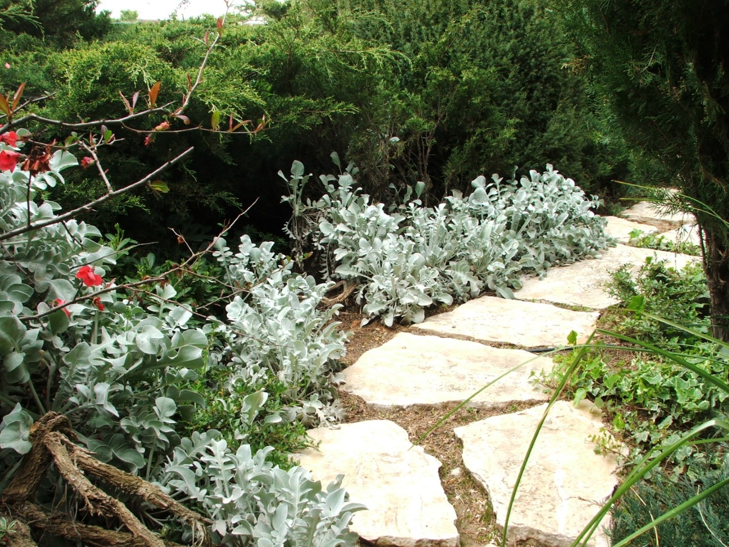 ריצוף באבן טבעי